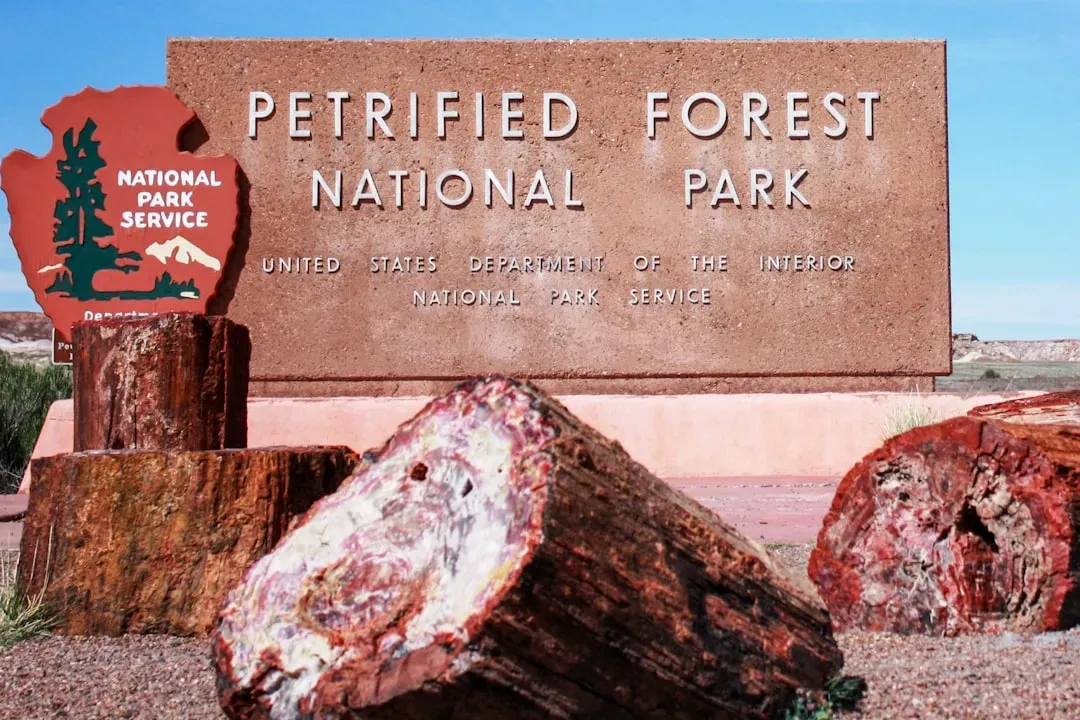 Petrified Forest National Park, Arizona (Image Credits: Unsplash)