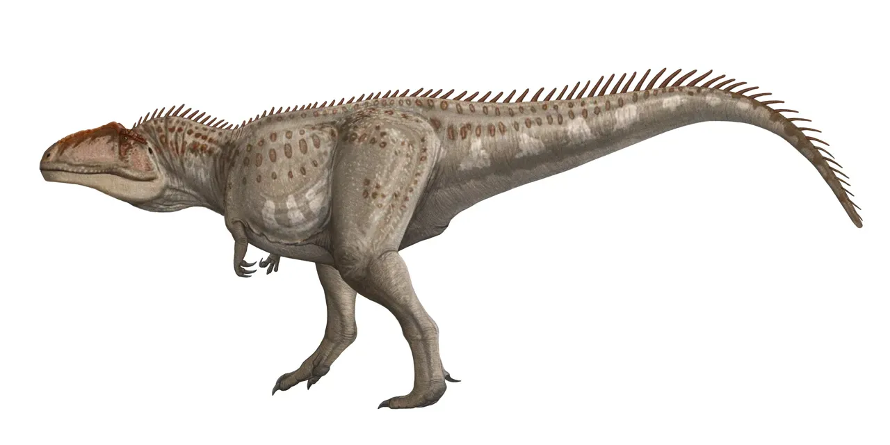 Aries – Giganotosaurus, the Reckless Warlord of the Cretaceous (By Dmitry Bogdanov, Public domain)