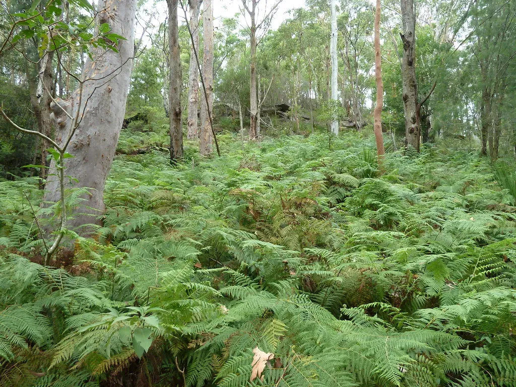 The Rebirth of the Green World and What It Means for Us (Dushan Hanuska, Flickr, CC BY-SA 2.0)