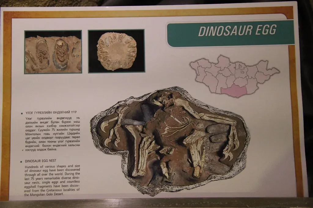 Eggshells Show You How Dinosaurs Protected Their Young (Image Credits: Flickr)