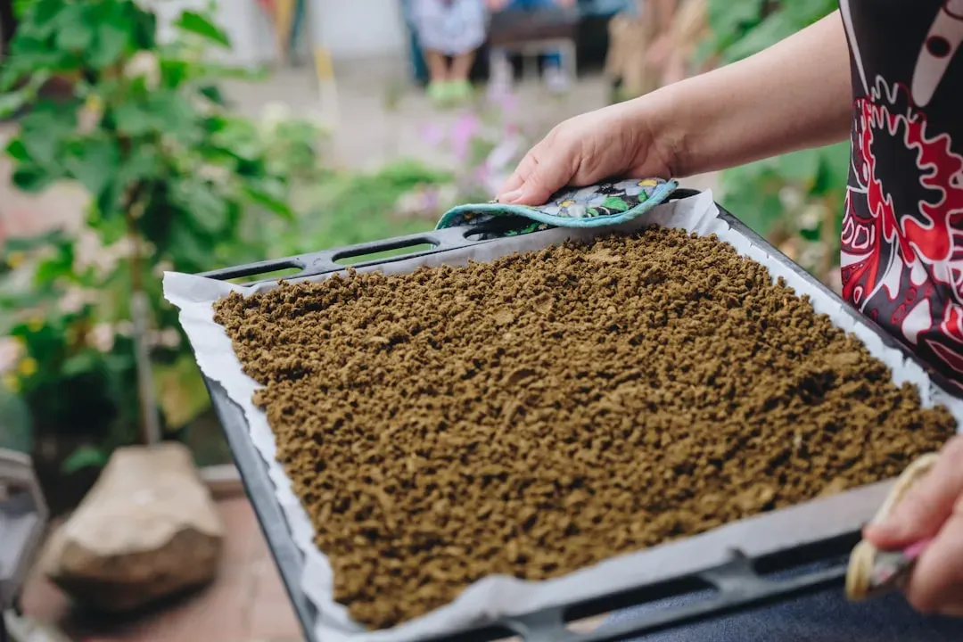 #6 It Creates a Natural Soil Sponge That Holds Water Like a Memory Foam Mattress (Image Credits: Unsplash)