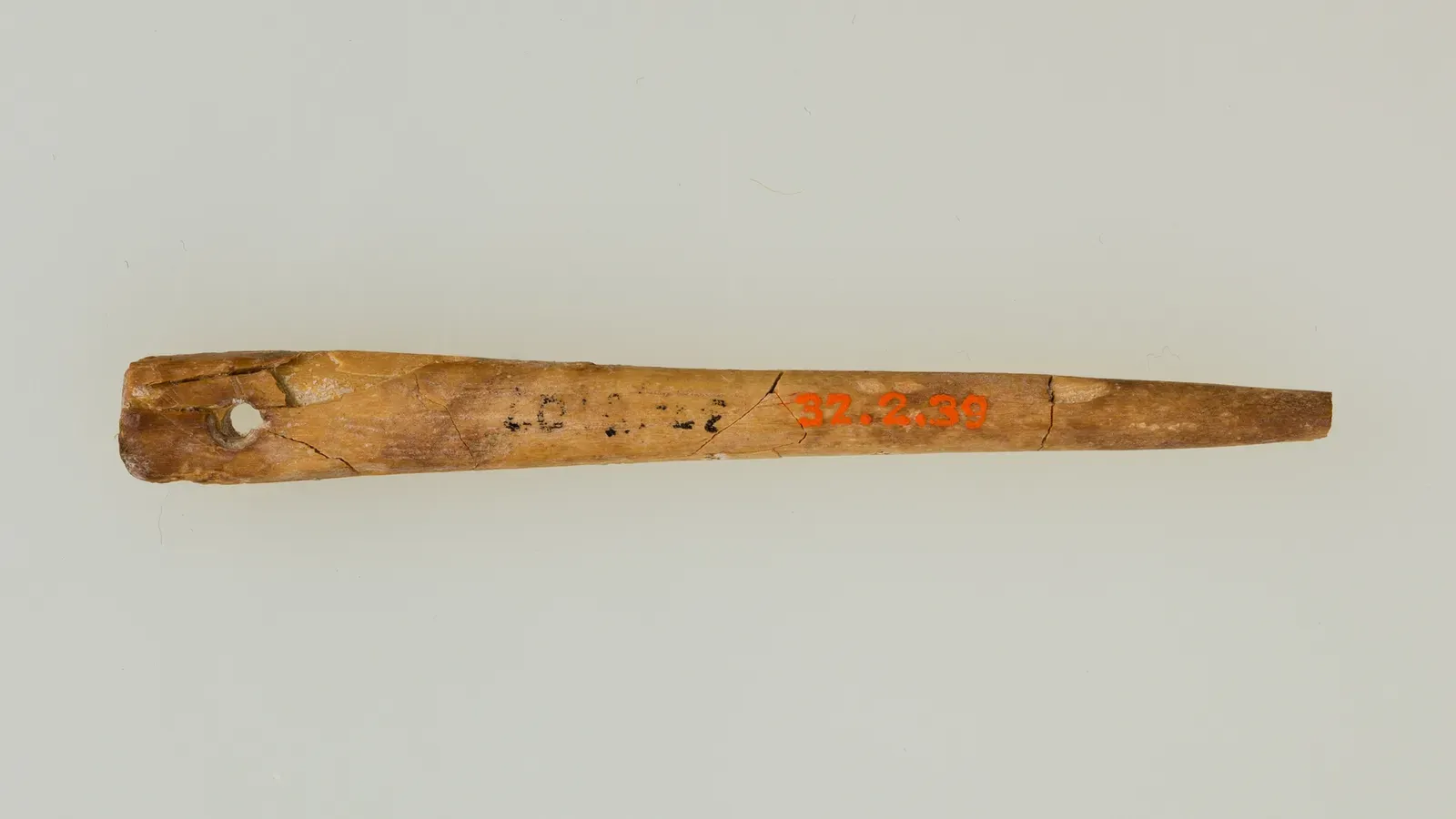 5. The 13,000-Year-Old Needle Fragments of Wyoming: The Oldest Tailoring Evidence (This file was donated to Wikimedia Commons as part of a project by the Metropolitan Museum of Art. See the Image and Data Resources Open Access Policy, CC0)