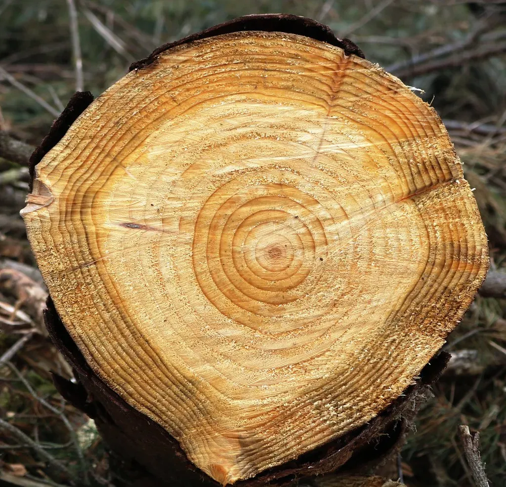 Conclusion (Image Credits: Flickr)