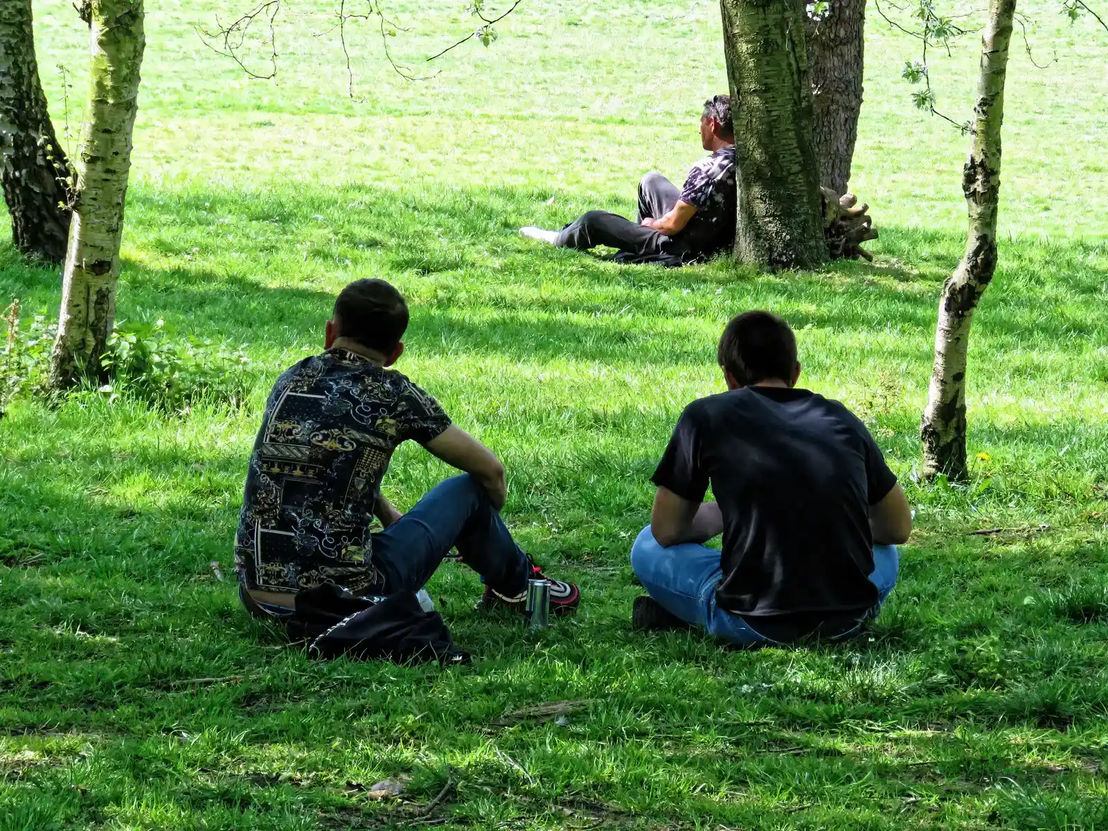 They Keep Physical Distance From You (Image Credits: Wikimedia)