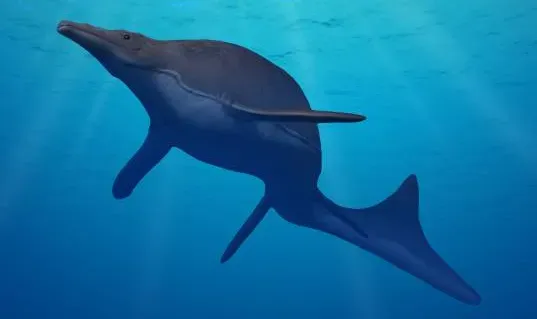 Streamlined Scales and Skin Built for Speed (Remove "cropped" from file name and see original file., CC BY-SA 3.0)