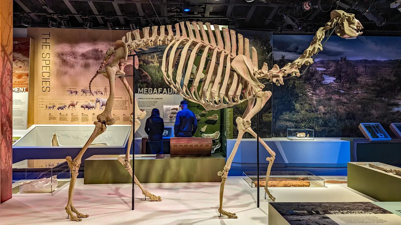 The Ancient Camel: America's Forgotten Original (By Tomás Del Coro, CC BY-SA 2.0)