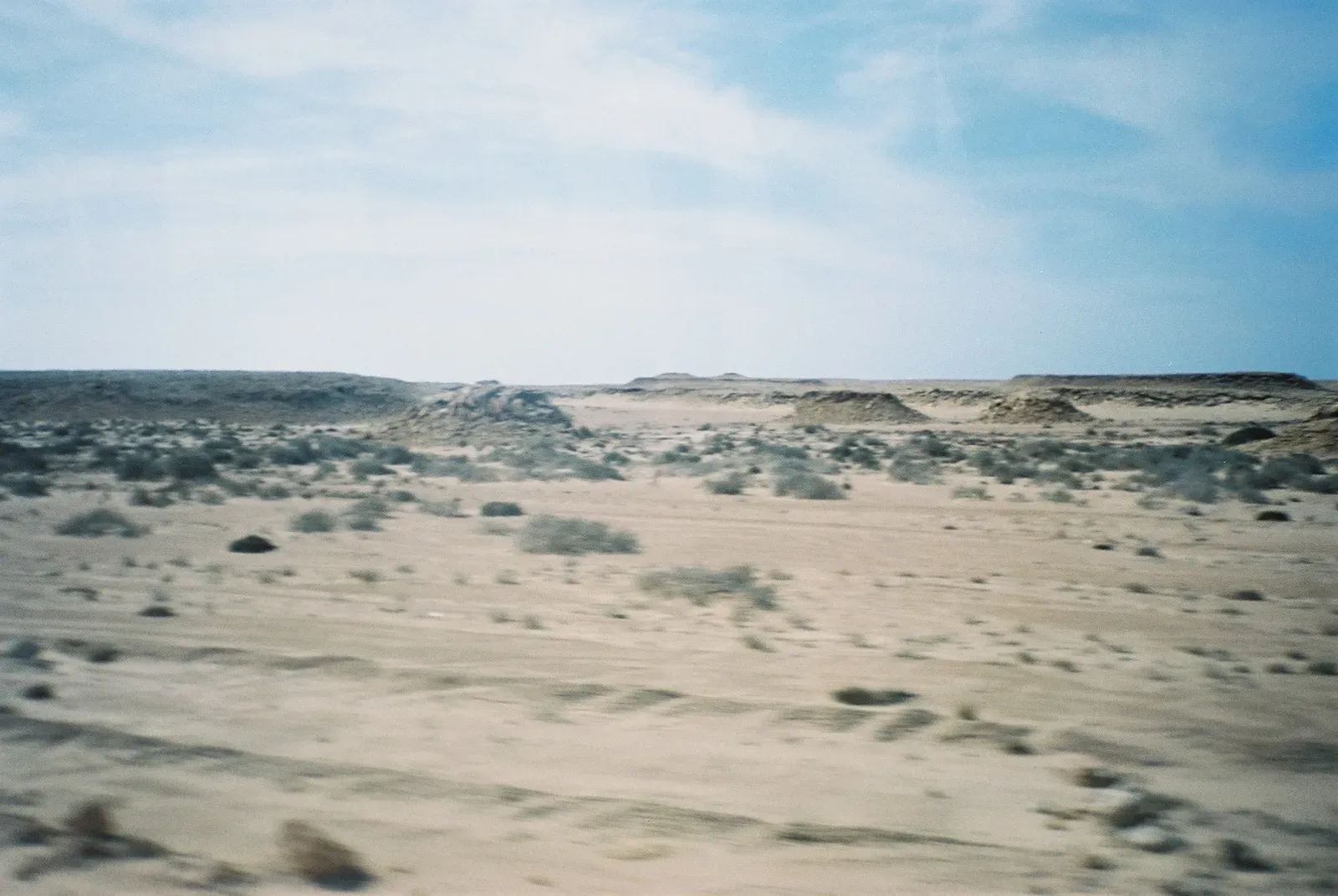 A hidden fossil goldmine on the edge of the Sahara (By Radosław Botev, Attribution)