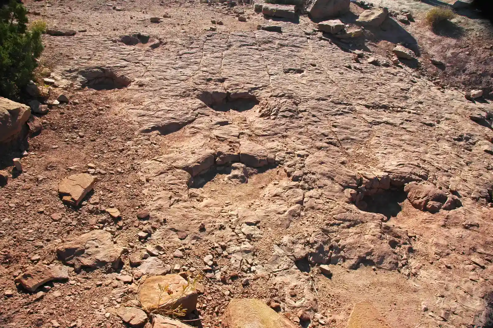 What Trackways Tell You That Bones Never Could (By James St. John, CC BY 2.0)