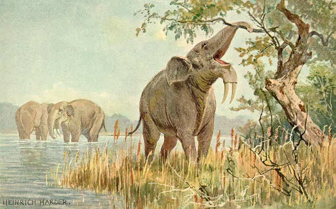 Deinotherium's Downward-Curving Tusks (Image Credits: Wikimedia)