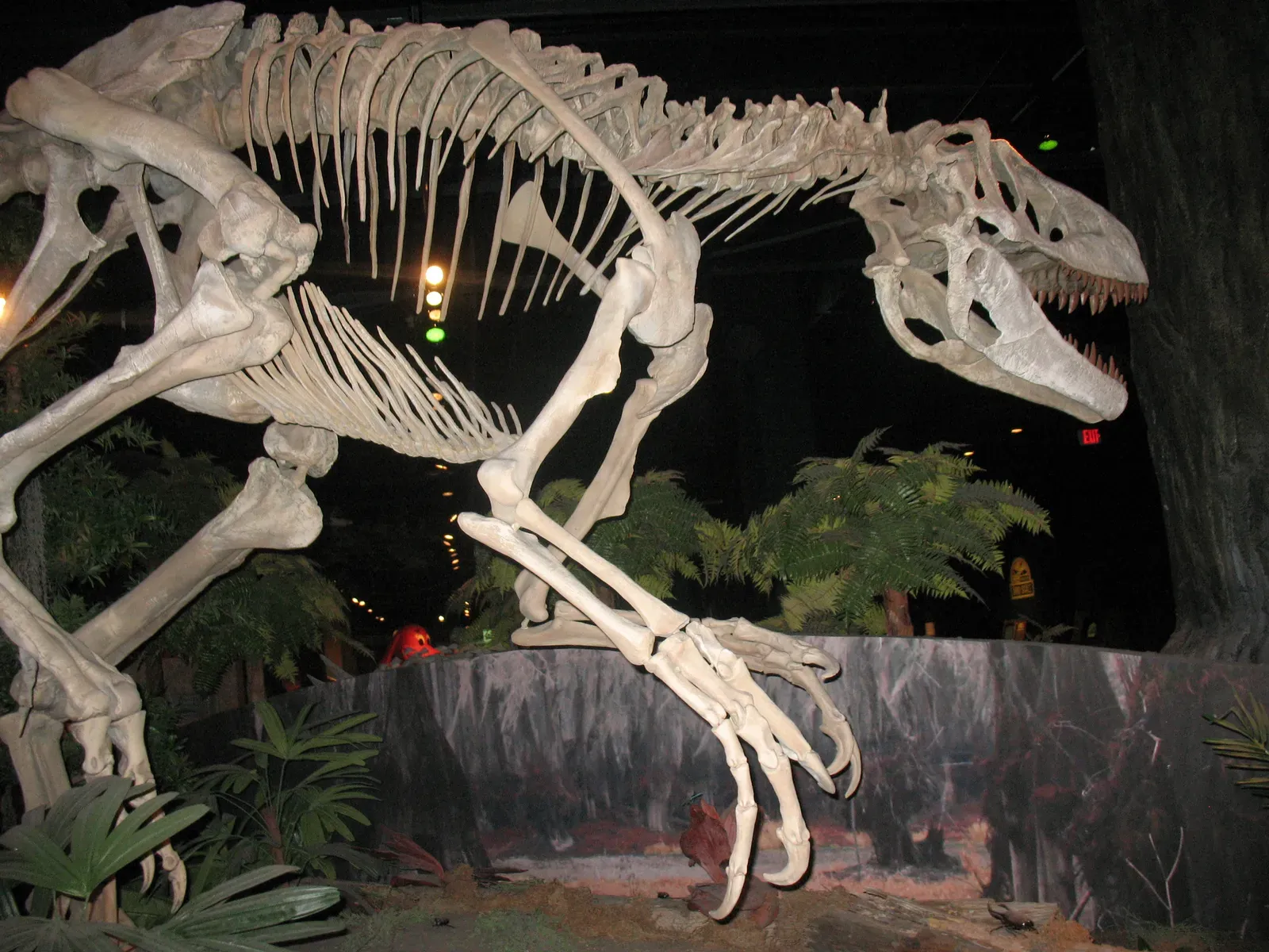 Conclusion (Image Credits: Wikimedia)