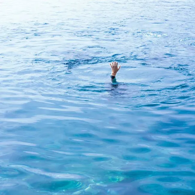 We Are Helpless in Water, But Dinosaurs on Land Feel “Manageable” (Image Credits: Pexels)