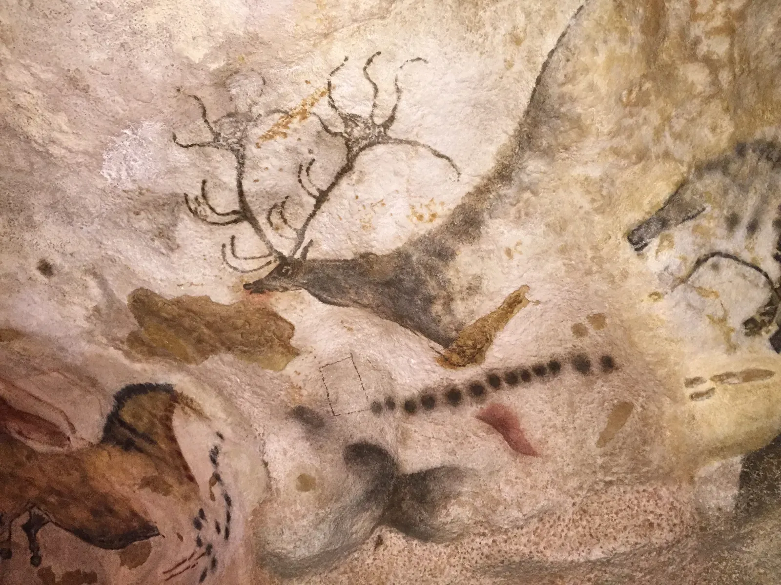 Ancient Caves as the First Zodiac: What the Walls Were Really Saying (By Codex, CC BY-SA 4.0)