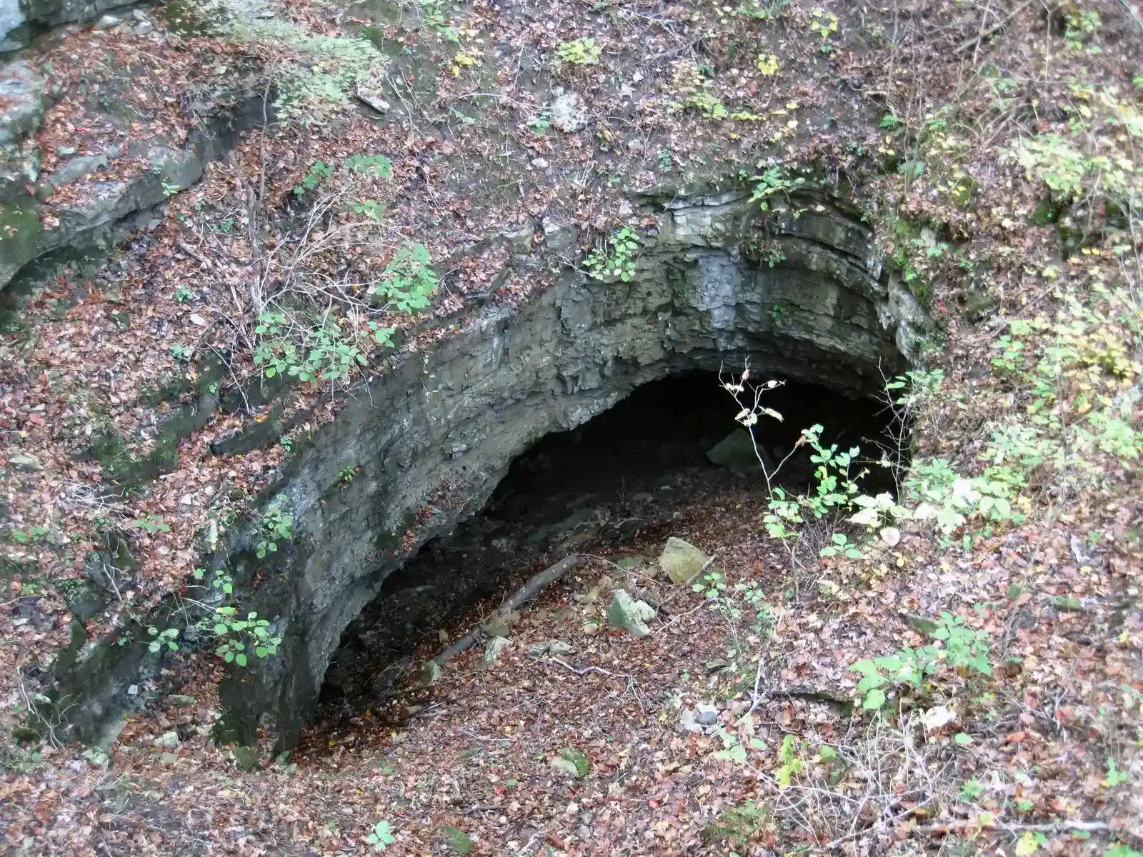 4. Cave DNA That Rewrote Our Family Tree (Dixon Cave (Mammoth Cave National Park, Kentucky, USA) 2, CC BY 2.0)