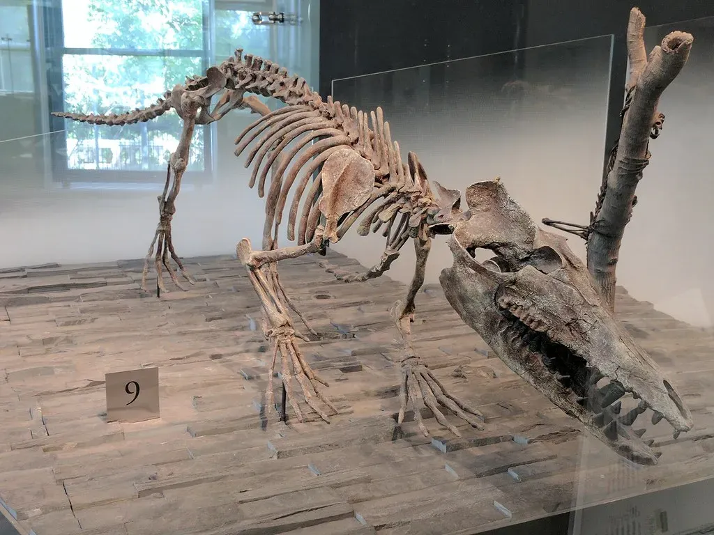 Early walking whales: the half‑and‑half experiment (PaintedByDawn, Flickr, CC BY 2.0)