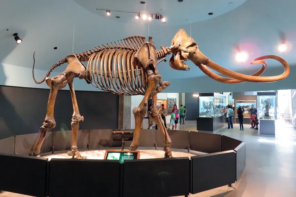 4. The La Brea Tar Pits Megafauna: A Time Capsule in the Middle of Los Angeles (Vahe Martirosyan, Flickr, CC BY 2.0)