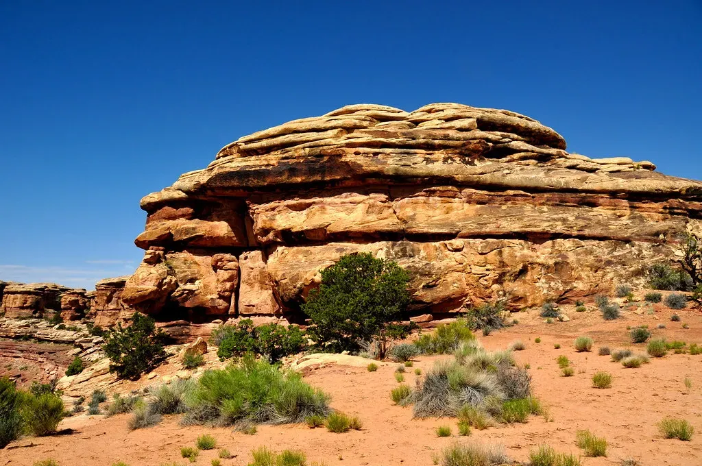 Conclusion (Image Credits: Flickr)