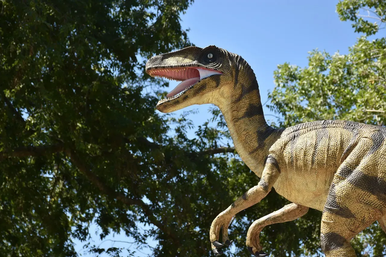 Conclusion: The Raptors Are Not the Problem - Our Reflections Are (Image Credits: Pixabay)
