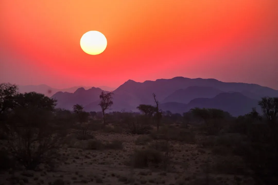 The sky was the “wrong” colour: murky, hazy, and heavy (Image Credits: Unsplash)