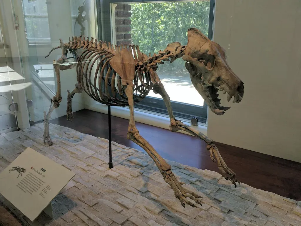 Dire Wolf – More Than a Fantasy Monster (PaintedByDawn, Flickr, CC BY 2.0)