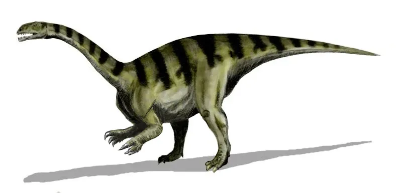 Millions of Years of Evolution Before the Sauropod Blueprint Emerged (By Nobu Tamura (http://spinops.blogspot.com) Arms and other edits made by User:FunkMonk, CC BY 2.5)