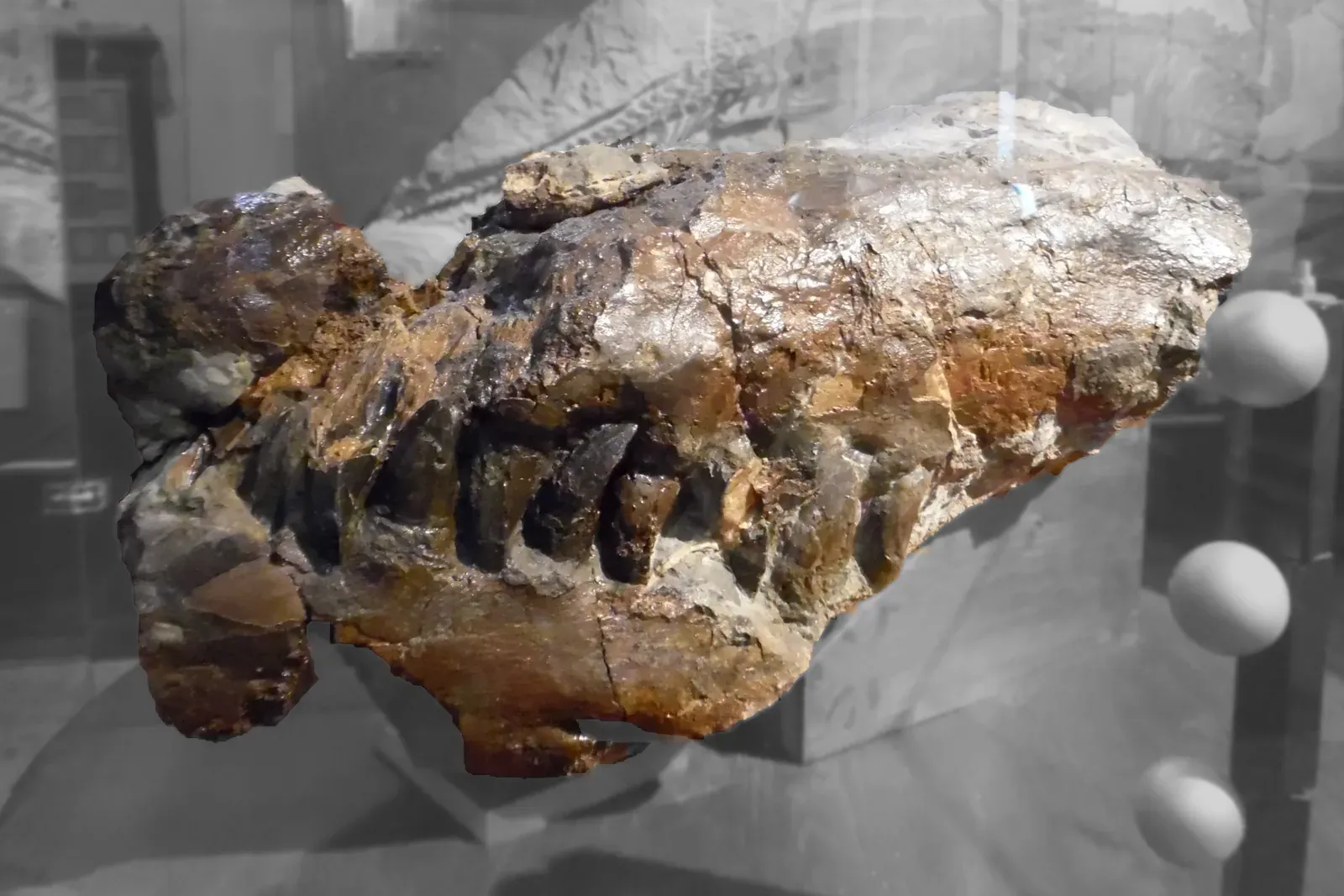 Conclusion (By Khruner, CC BY-SA 4.0)