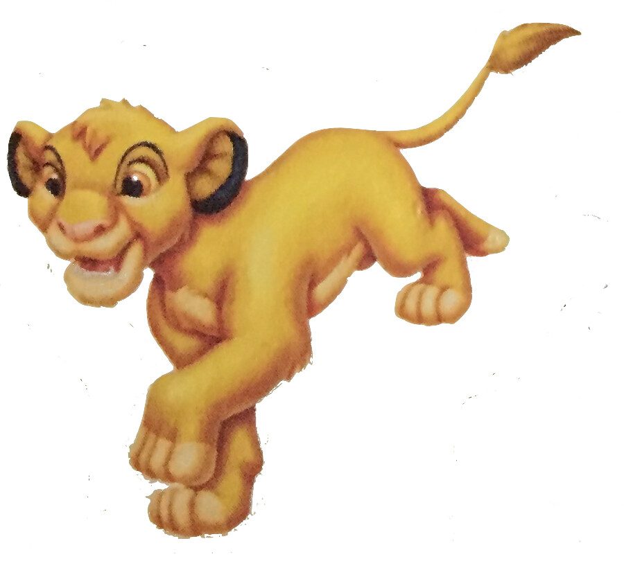 Leo: Simba from The Lion King (Image Credits: Flickr)