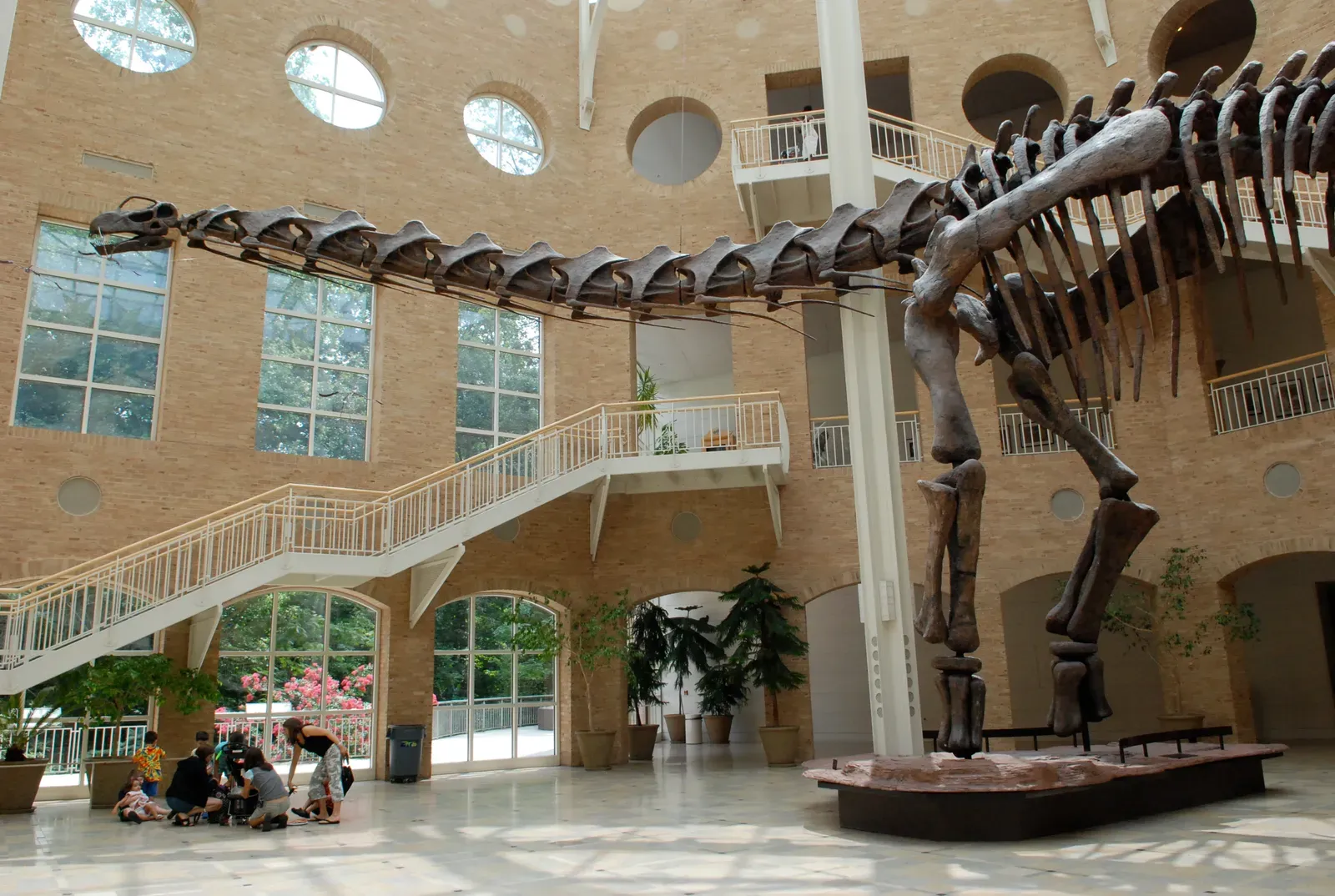 Sagittarius – Argentinosaurus, the wandering giant (Fernbank Museum - Atlanta, CC BY-SA 2.0)