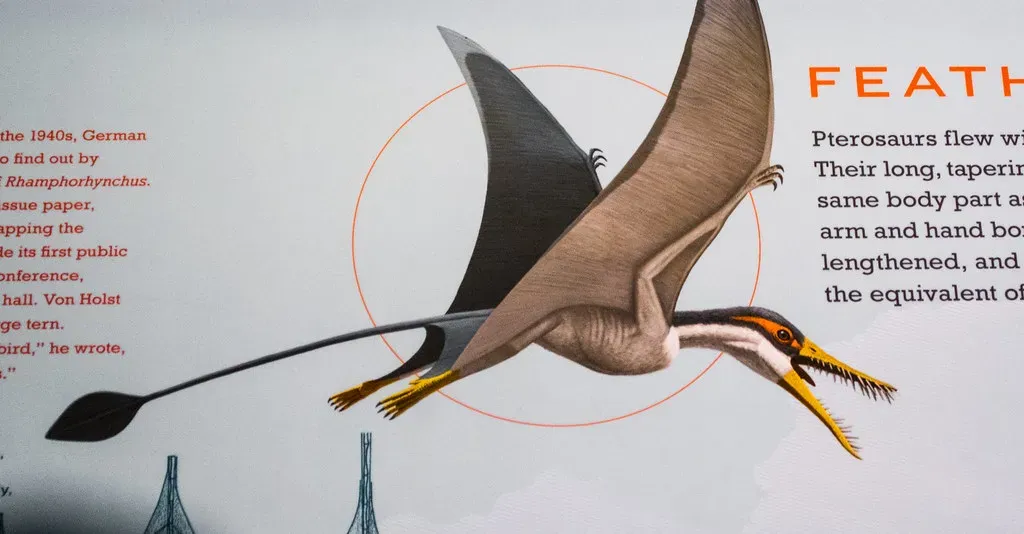 3. Rhamphorhynchus – The Long-Tailed Hunter With a Kite on Its Back (Tim Evanson, Flickr, CC BY-SA 2.0)