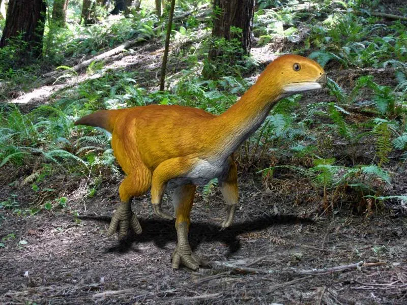 8. Chilesaurus - The Velociraptor That Ate Like a Stegosaurus (By Nobu Tamura email:nobu.tamura@yahoo.com  http://spinops.blogspot.com/, CC BY-SA 4.0)