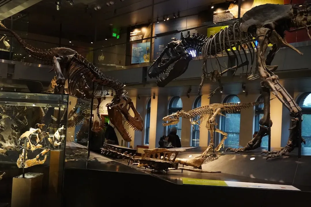 #10 - Billions of Them Lived, But Almost None Left a Trace (Image Credits: Unsplash)