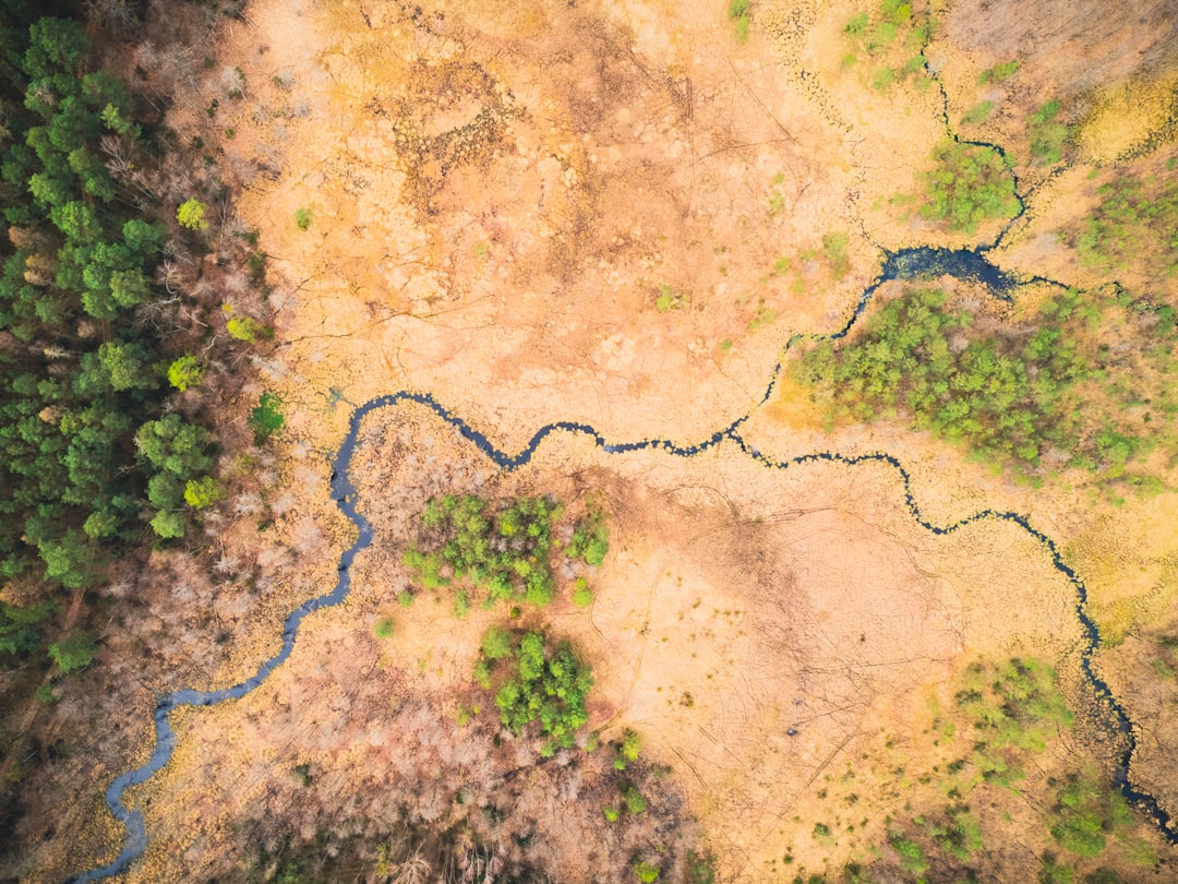 Geographic Hotspots of Biodiversity Collapse (Image Credits: Unsplash)