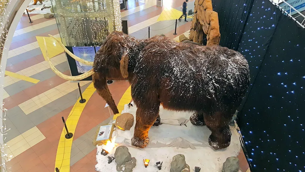 Myth 5: All Mammoths Were Absolutely Enormous (Alex Panoiu, Flickr, CC BY 2.0)