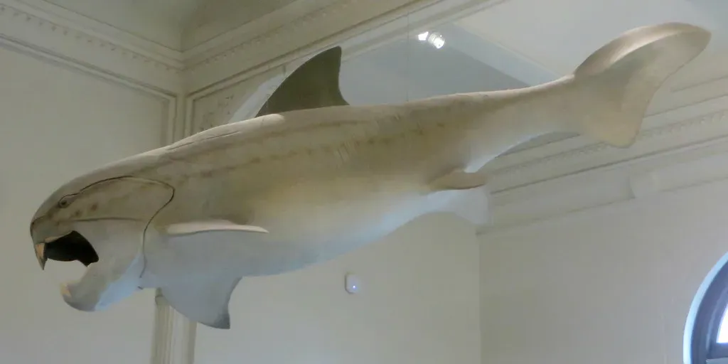 Dunkleosteus: The Armored Fish with a Guillotine Mouth (Image Credits: Flickr)