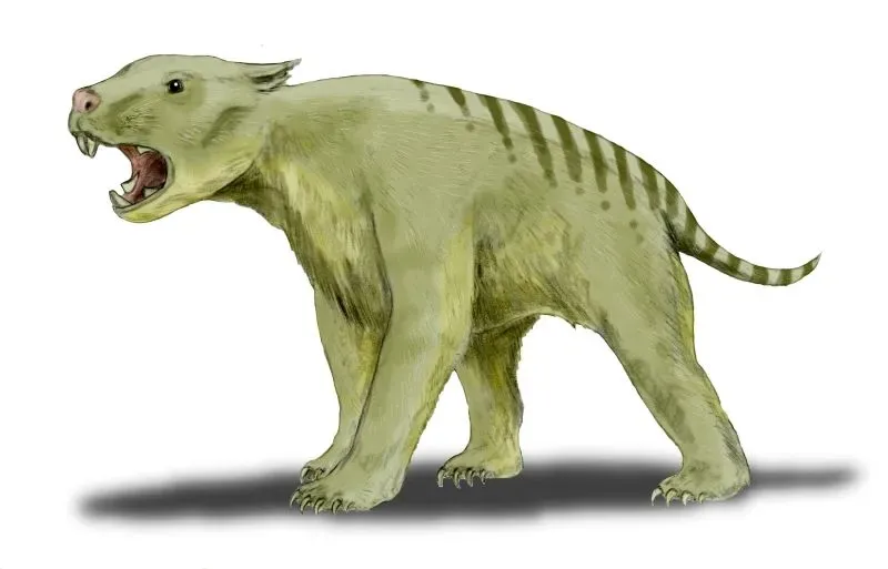 #7 - Thylacoleo, Australia's Marsupial Lion (By Nobu Tamura (http://spinops.blogspot.com), CC BY 3.0)