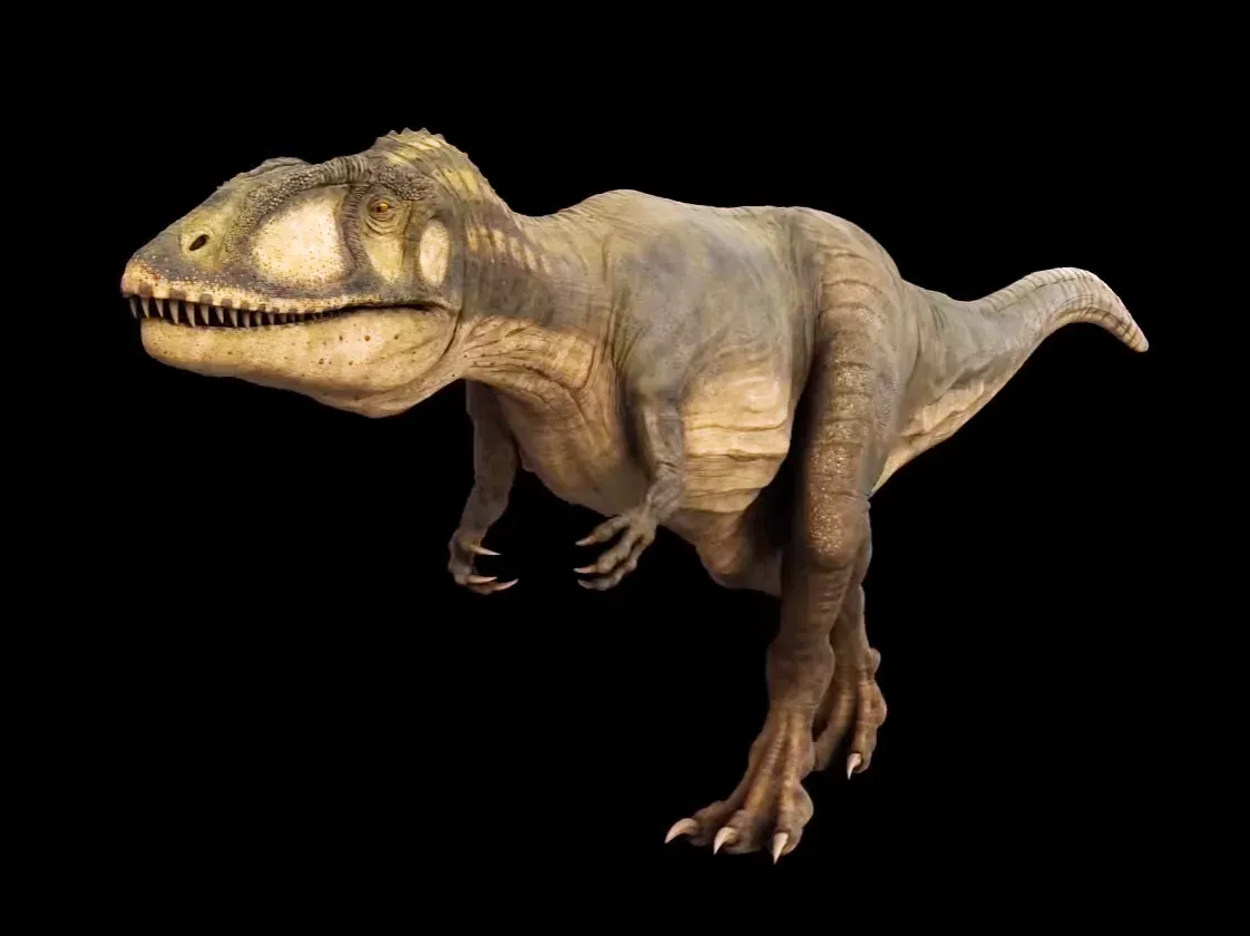 Carcharodontosaurus: The Blade-Toothed Giant (By Julian Johnson, CC BY 3.0)