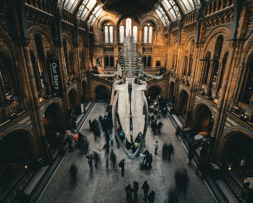 The Bottom Line (Image Credits: Pexels)