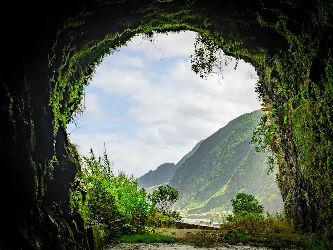 #10 - Underground Tunnels Big Enough to Drive a Car Through (Image Credits: Unsplash)