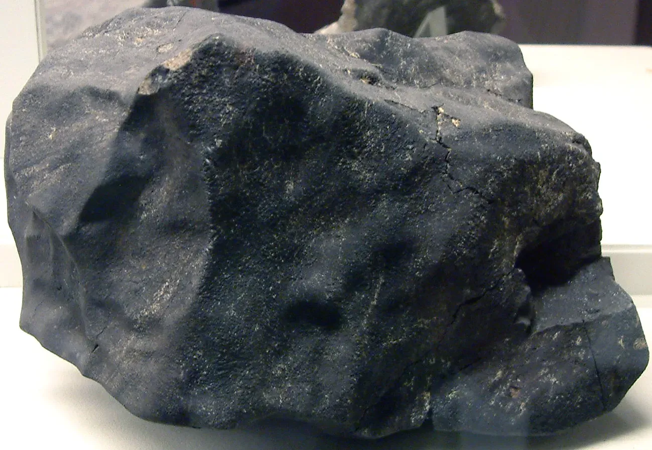 #13 - Some of Life's Ingredients May Have Fallen From the Sky (Carbonaceous chondrite (Murchison Meteorite), CC BY 2.0)