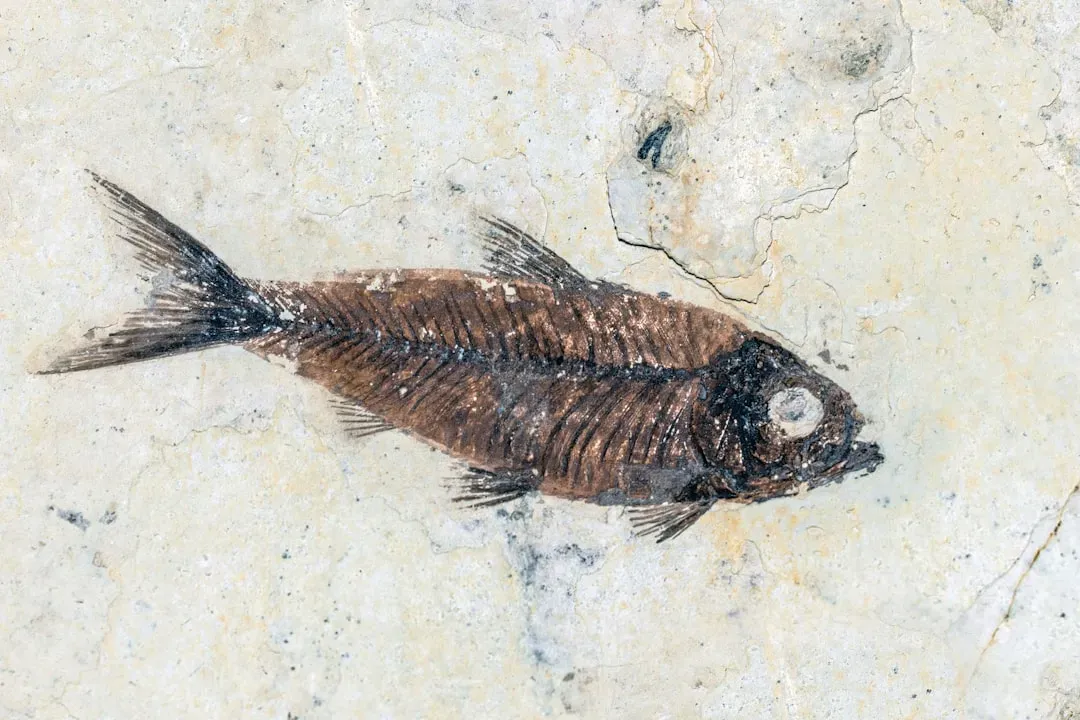 Pisces: The Imaginative Reconstructor (Image Credits: Unsplash)