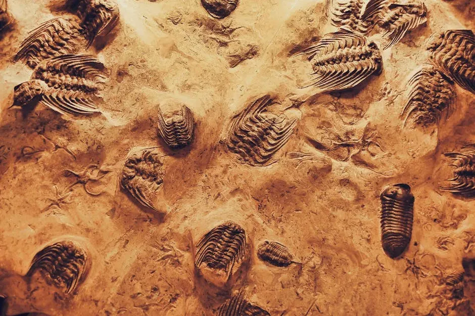 4. The Story in the Sediment: Taphonomy and Site Formation (Image Credits: Pexels)