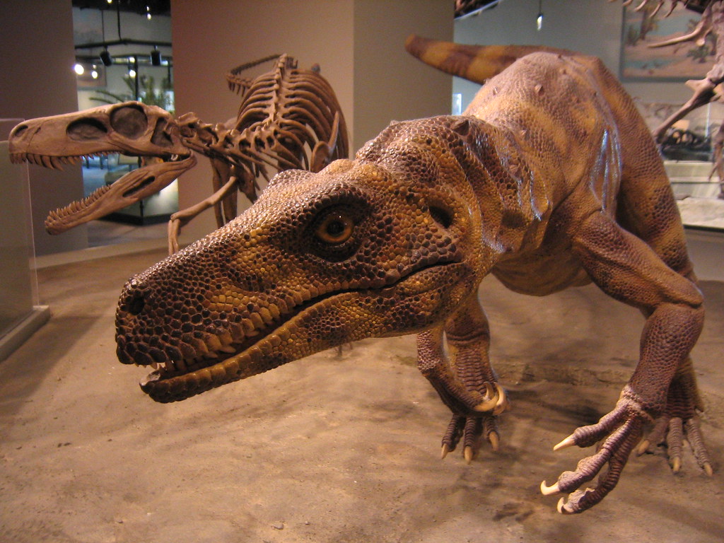 Herrerasaurus: The Early Dinosaur Pioneer (Image Credits: Flickr)