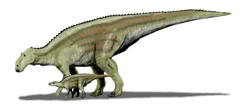 Cancer – The Maiasaura: Nurturing Protector, Home-Builder, Emotional Fortress (By Nobu Tamura (http://spinops.blogspot.com), CC BY 3.0)