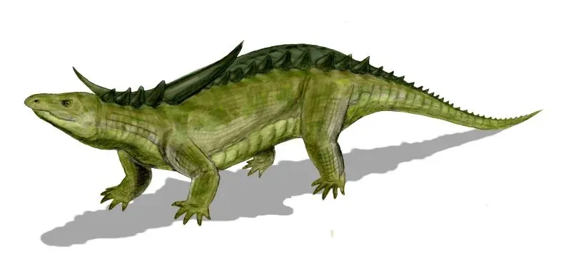 Aetosaurs: The Armored Giants Grazing Alongside Dinosaurs (Image Credits: Wikimedia)