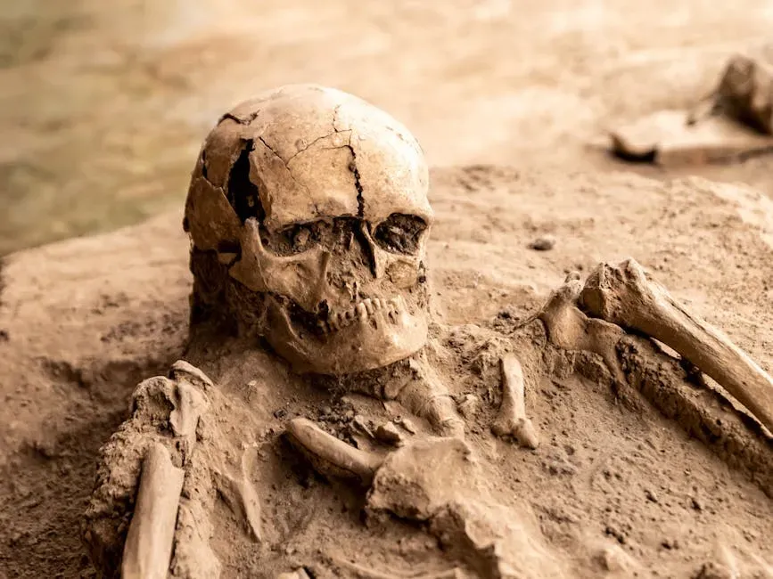 Arlington Springs Man: The Oldest Known Human Remains in North America (Image Credits: Pexels)