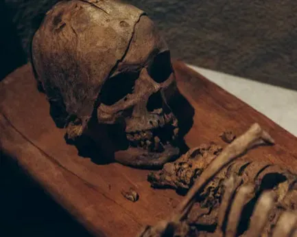 #13 - Museums Started Sending Remains Back Instead Of Displaying Them (Image Credits: Pexels)