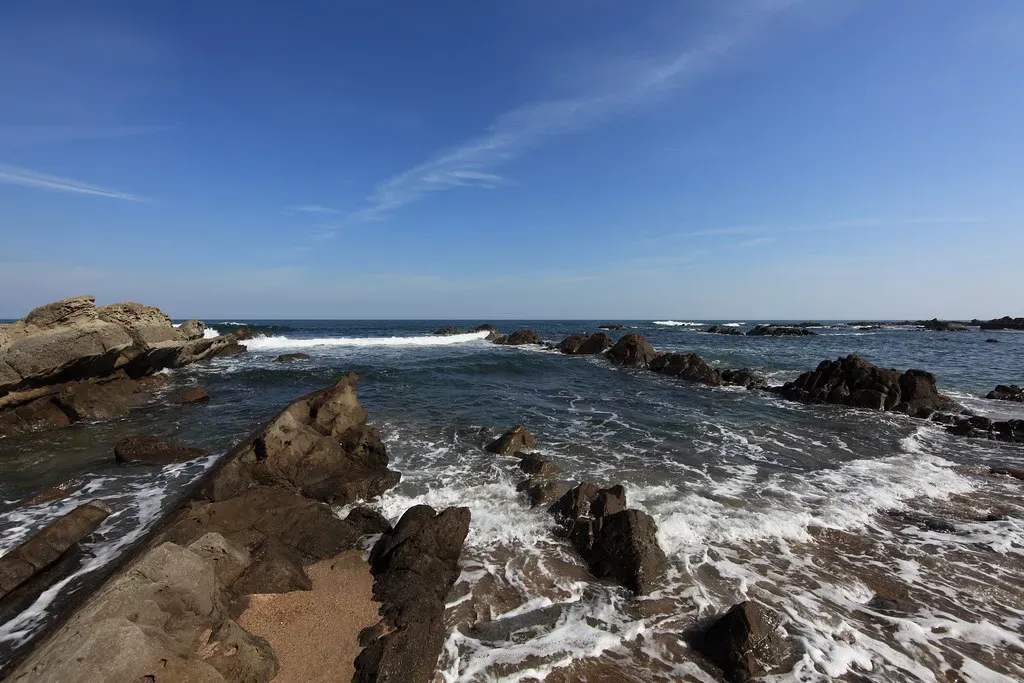 Rising Seas, New Coastlines, and Cretaceous Dominance (Image Credits: Flickr)