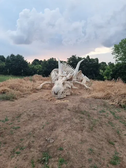 10. Medieval and Early Modern Europe’s “Dragon Bones” and Church Displays (Image Credits: Pexels)