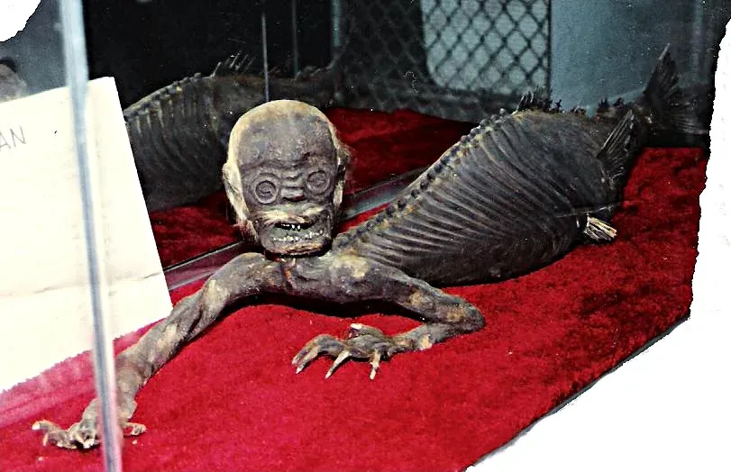 #3 - The Mermaid That Fooled New York, Boston, and London (By Dbhewitt63, CC BY-SA 3.0)