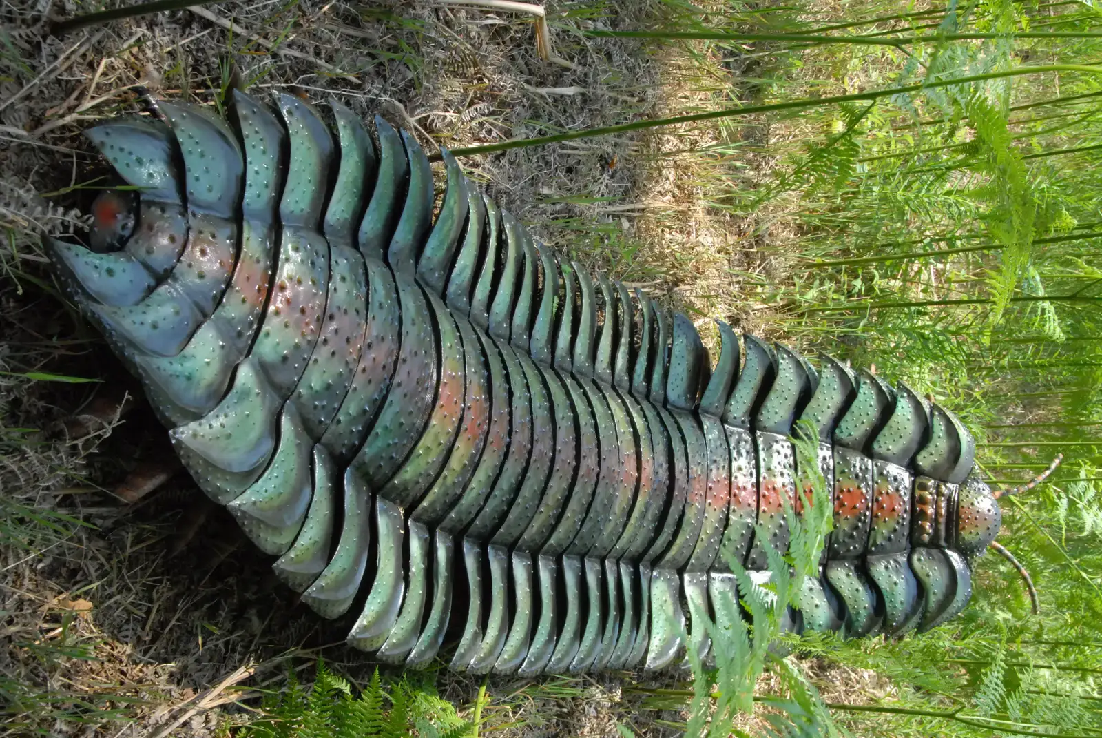 3. Arthropleura: The Giant Millipede of Your Nightmares (By Werner Kraus, CC BY-SA 4.0)