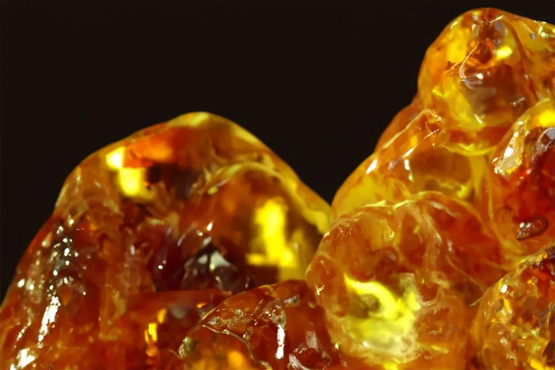 7. A Tiny Feathered Tail in Amber: Dinosaur Color, Texture, and the Shock of Realism (Image Credits: Unsplash)